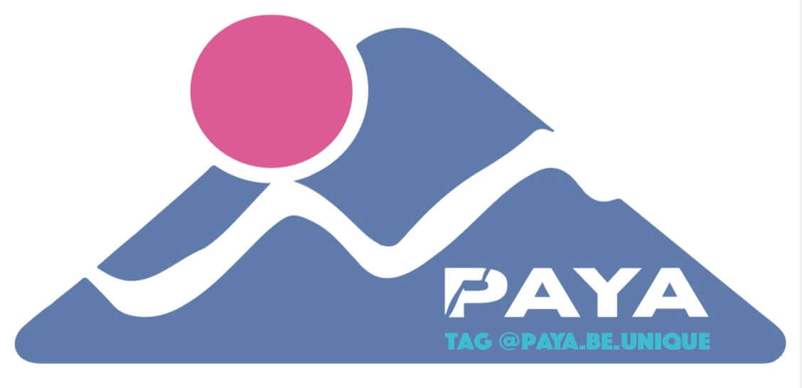 Stickers PAYA